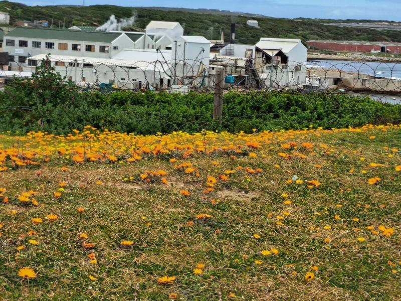 4 Bedroom Property for Sale in Pearly Beach Western Cape